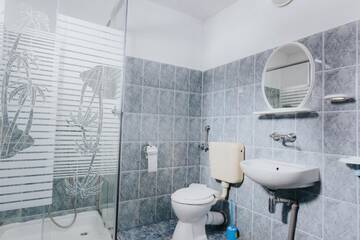 Фото номера Двухместный номер с 1 кроватью и собственной ванной комнатой Отели типа «постель и завтрак» Pension Rose г. Борсек 14